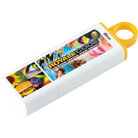 Kingston DataTraveler G4 - 8 GB