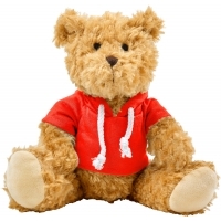 Plush teddy bear with hoodie