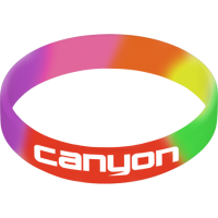 Silicone Wristbands 